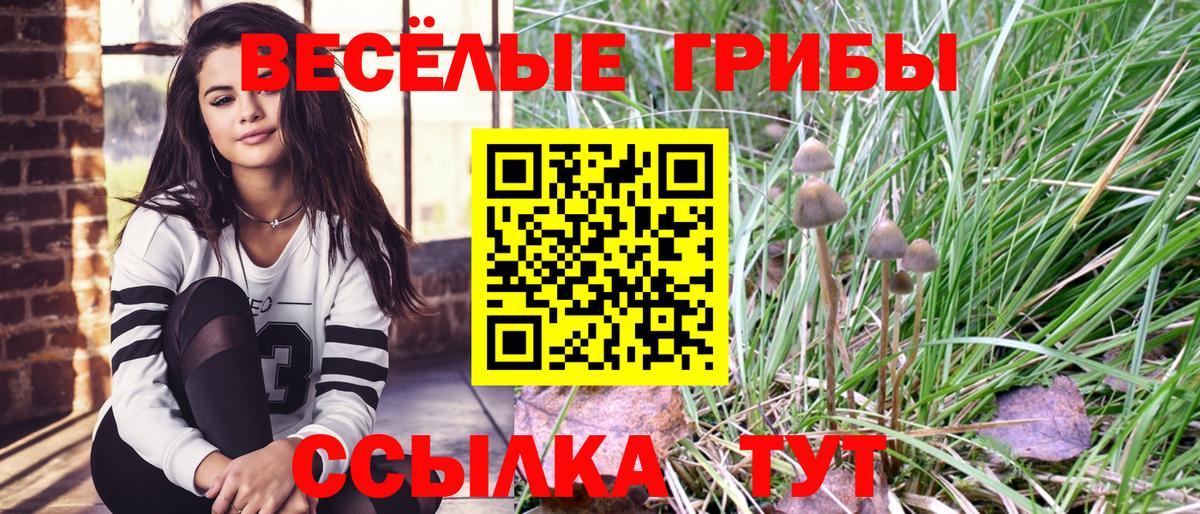 Псилоцибиновые грибы мухоморы  Вход с VPN  Учалы  Галлюциногенные грибы ЛСД 